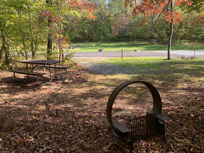 Green grass area with a circle fire pit and picnic table.E-16 tent space.
