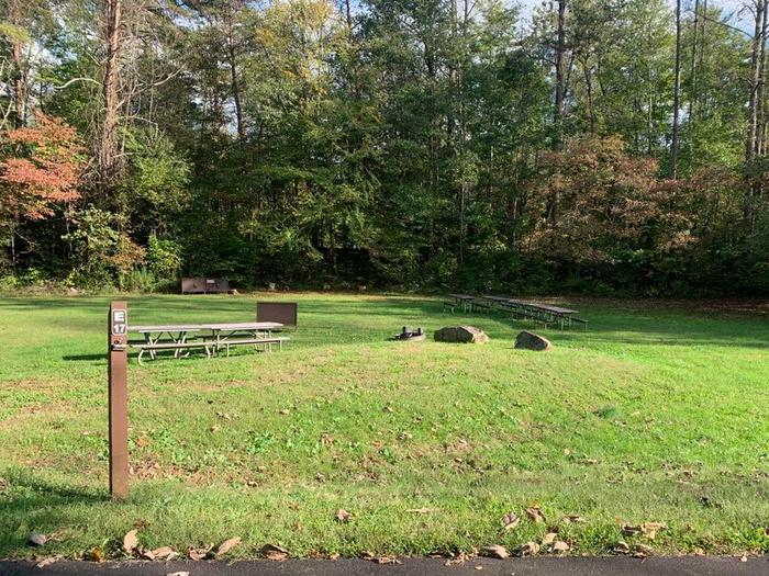 Green grass area with a small brown post.E-17 has a fire pit, picnic table, and bear box.