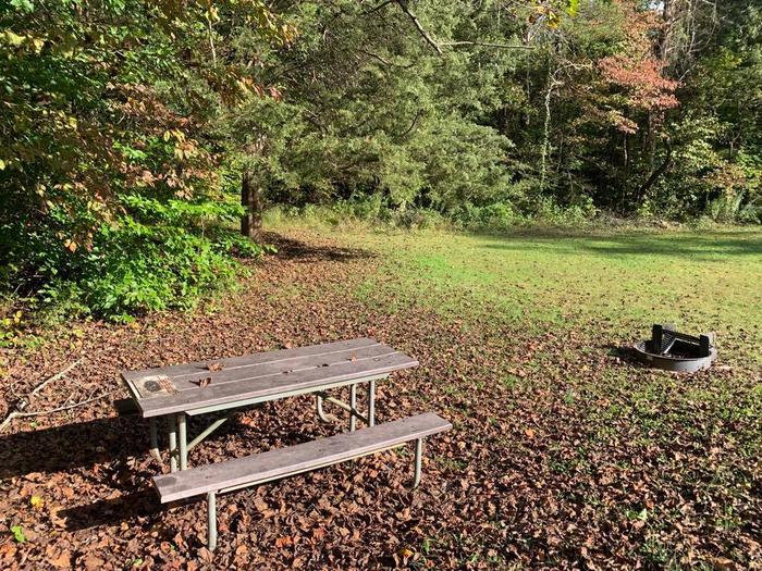 Green grass area with brown leaves on the ground with a circle fire pit and picnic table.E-19 tent space.