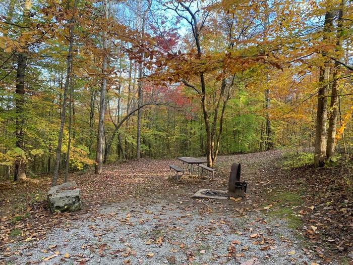 Gravel area with a rock, circle fire pit, and picnic table surrounded with colorful trees. E-27 tent space.
