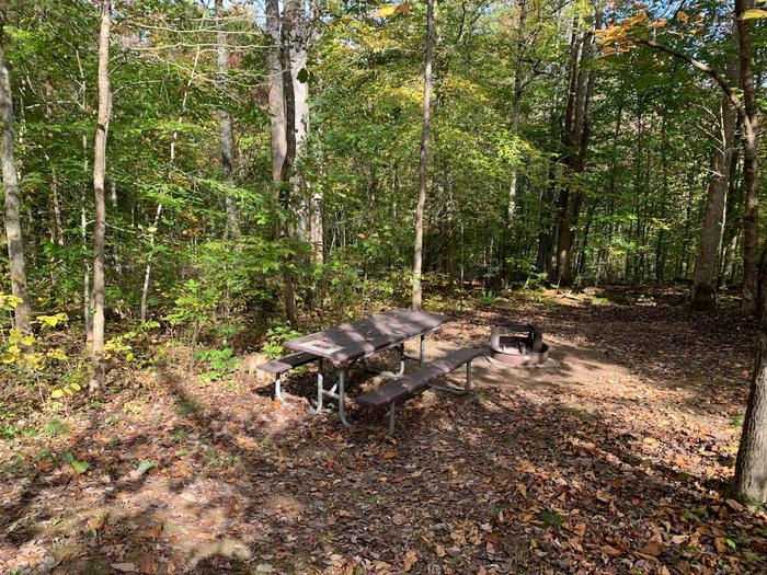 Gravel area with brown leaves on the ground with a circle fire pit and picnic table.E-28 tent space.
