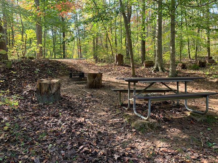 Gravel area in the shade with a circle fire pit and picnic table.E-29 tent space.