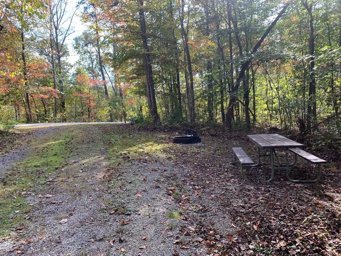 Gravel area with a circle fire ring and picnic table.F-1 tent space.