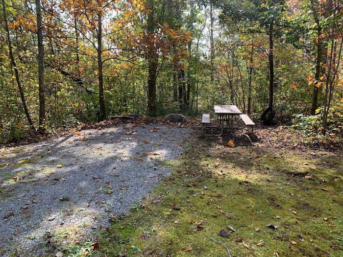 Gravel road with a circle fire ring and picnic table.F-3 tent space.