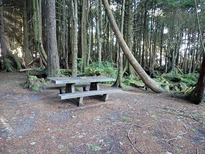 view of picnic table and treesA3- picnic table 