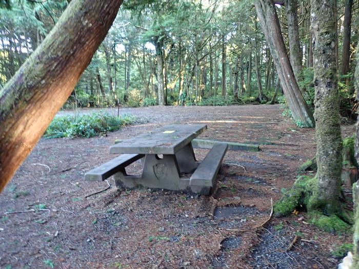 view of a picnic table and parking area of campsiteA3- view from behind picnic table looking out to parking area and campsite entrance