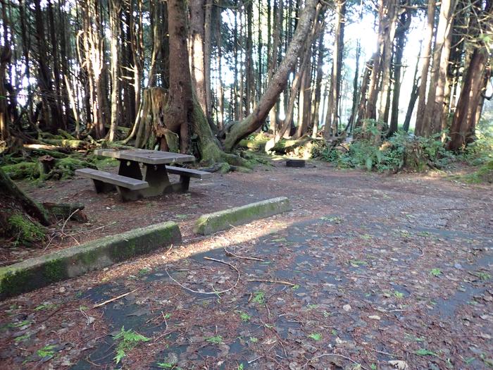 view of picnic table behind some concrete curbstopA5-picnic table and parking area