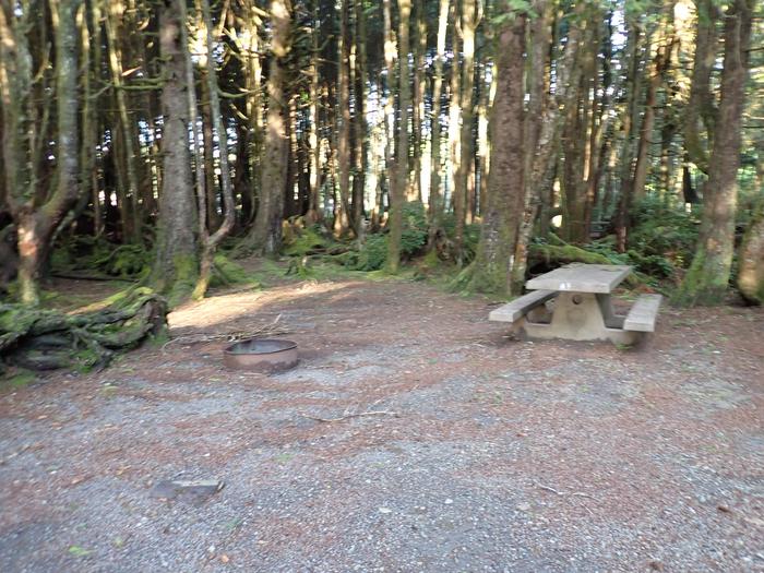 view of a picnic table and fire pit in campsiteA7 - closer view of fire ring and picnic table 