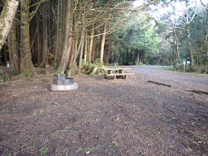 campsite with fire pit and picnic table, view of road in distanceA9 - view of campsite from the tent pad area showing parking area and campground road in distance