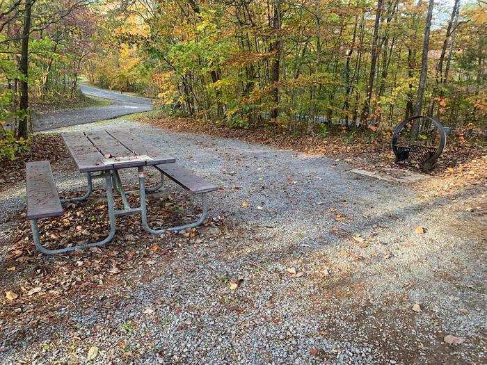 Gravel area with a circle fire ring and picnic table.F-16 tent space.