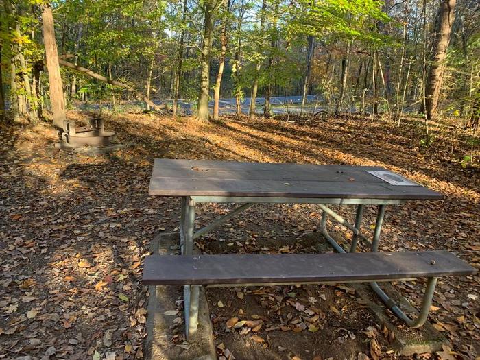Gravel area with brown leaves on the ground with a circle fire ring and picnic table.F-17 tent space.