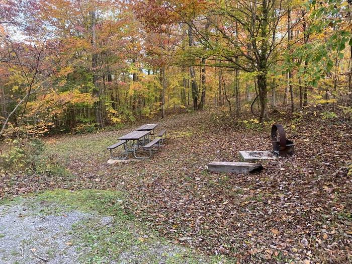 A gravel area with a circle fire ring and two picnic tables.O-7 tent space.