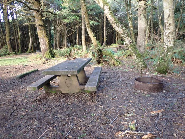 view of fire ring and tableA10 - View of the picnic table and fire ring. Fire ring is located very near to the table at this campsite. 