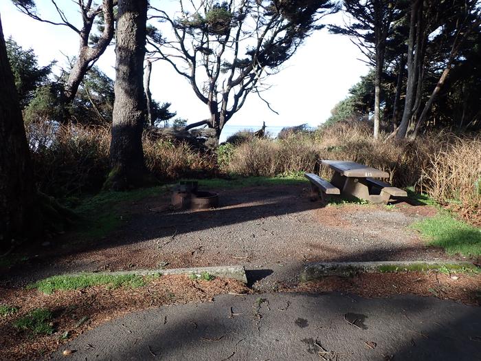 picnic table and fire pit, small glimpse of ocean on far horizonA13- picnic table and fire ring of campsite