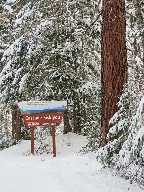 Snow at Cascade-Siskiyou National Monument.
