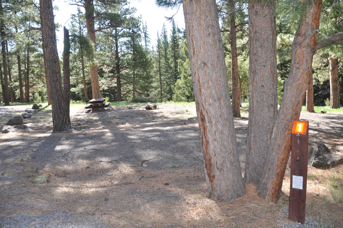 Aspen Glade Campground Site 1
