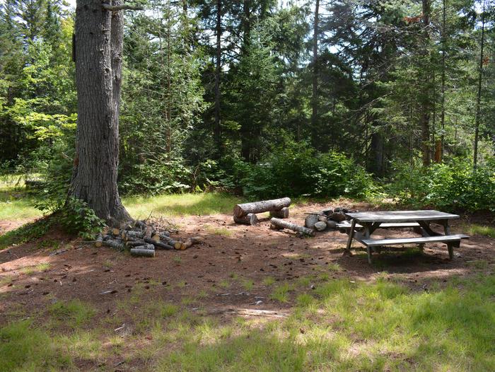 Wooden picnic table and stone fire ring at Wassataquoik Campsite along the International Appalachian Trail.Wassataquoik Campsite is a short distance from Wassataquoik Gate or Barnard Mountain Trailhead.