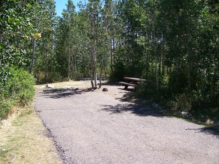 Angel Creek Site 18