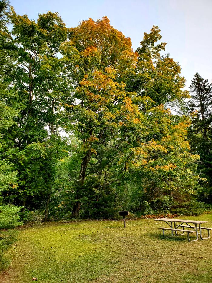 Flowing Well Campground - Recreation AreaFall colors at the recreation area located at the Flowing Well Campground