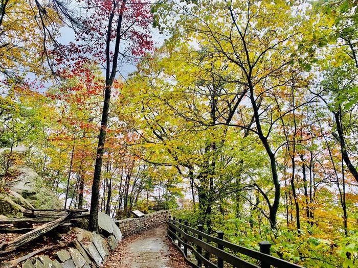 A walkway with railing and colorful trees along the side.Pinnacle Overlook walkway.