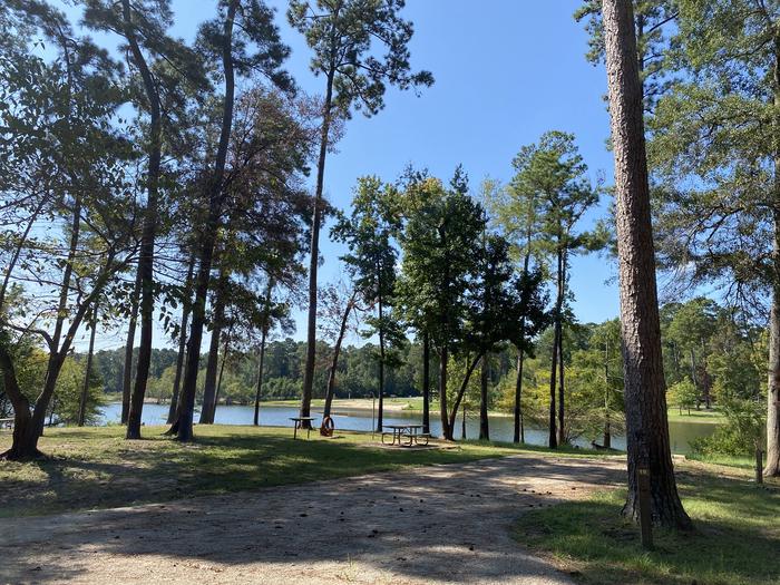A photo of Site 19 of Loop LOOB at HANKS CREEK with Picnic Table, Electricity Hookup, Fire Pit, Shade, Waterfront, Lantern Pole, Water Hookup
