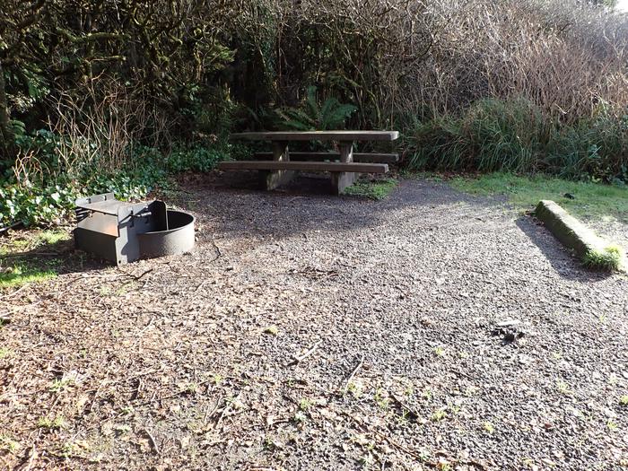 concrete picnic table and fire ringA17 - picnic table and fire ring. Table close to bushes and vegetation