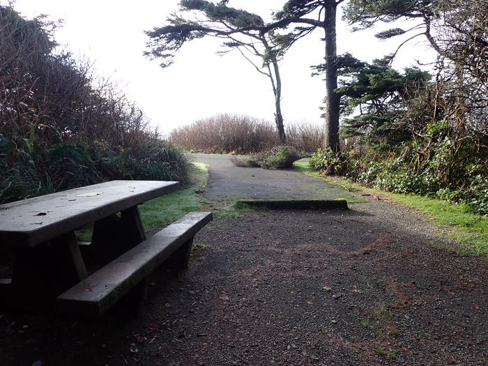 picnic table and paved parking area, with a fallen treeA20 - campsite parking and entrance (fallen tree only temporary)