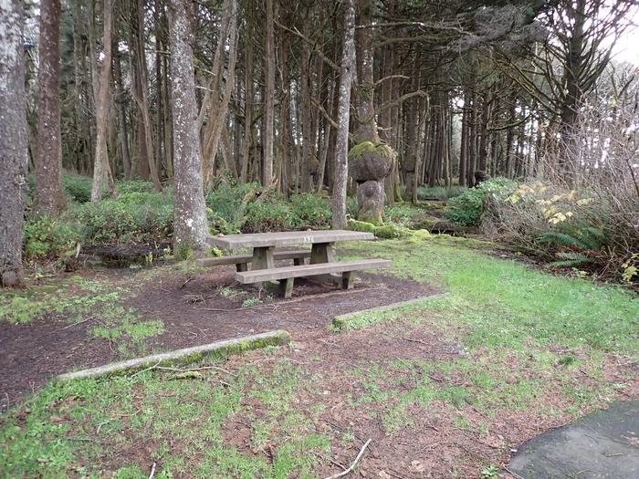 picnic table surround by treesA24 - tent are to right of table