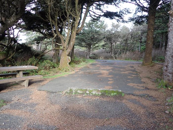 paved parking area bordered by two trees in campsiteA25 - parking area 