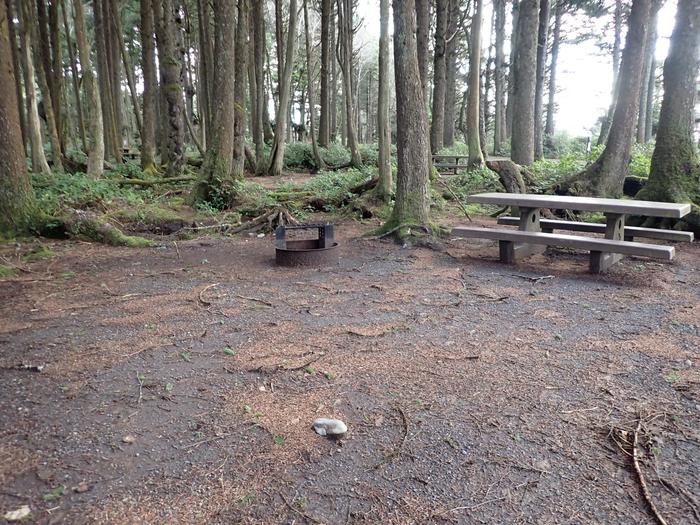 picnic table near fire ring surround by treesA28 - picnic table and fire ring