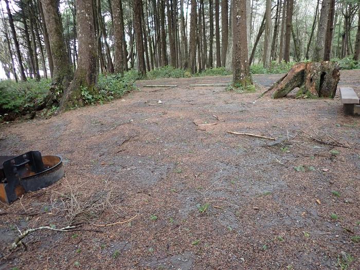 fire ring and cleared dirt area covered in pine needlesA32- tent area 