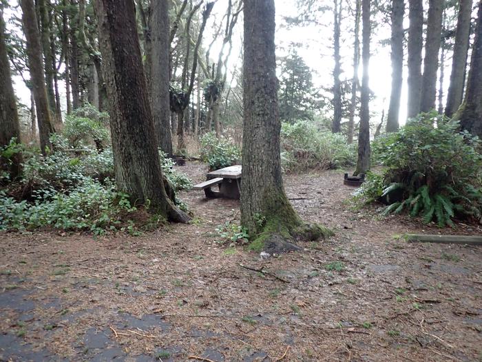 picnic table between two treesA33- campsite 