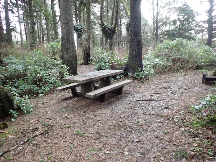 picnic table next to two treesA33- picnic table 