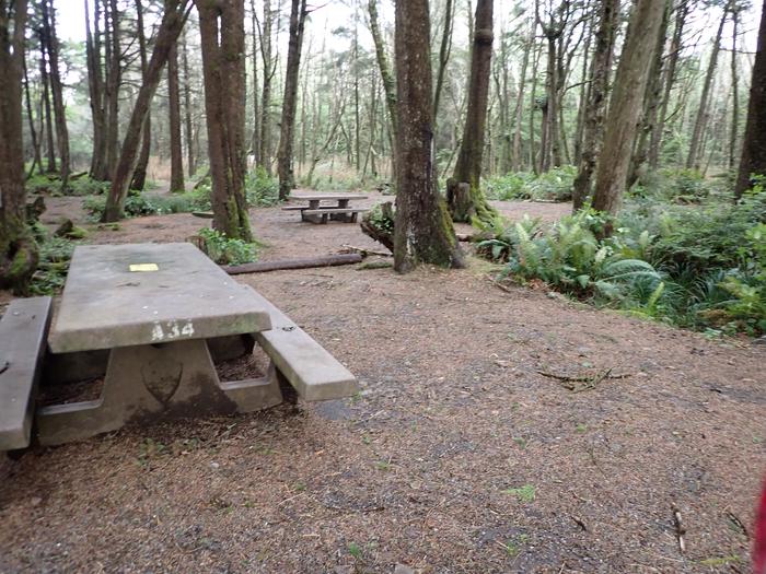 picnic table in forested campsiteA34- picnic area and tent area