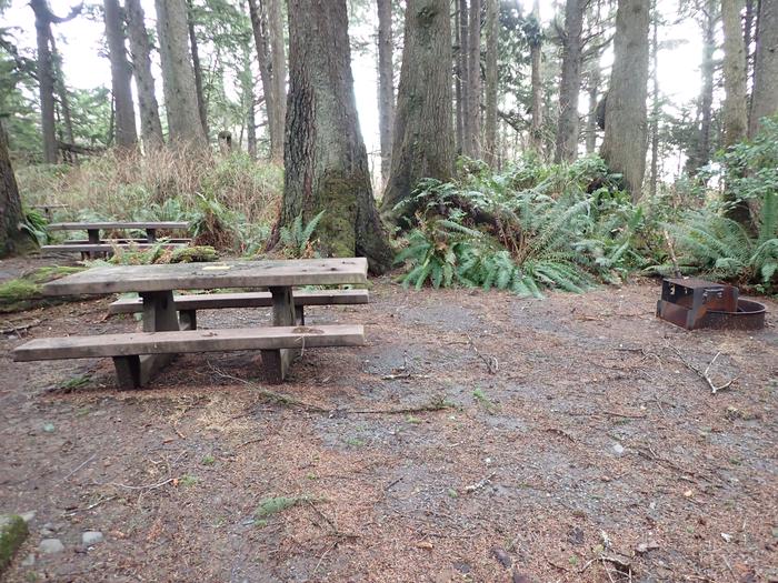 picnic table and fire pit in forestA36 - table and fire ring