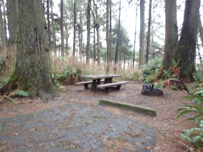 picnic table and fire ring next to large treesA37- campsite