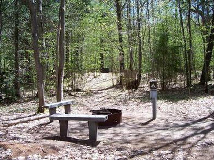 Hardwood Campsite - PathwayPathway leading from the Grand Island Hiking Trail to the Hardwood campsite