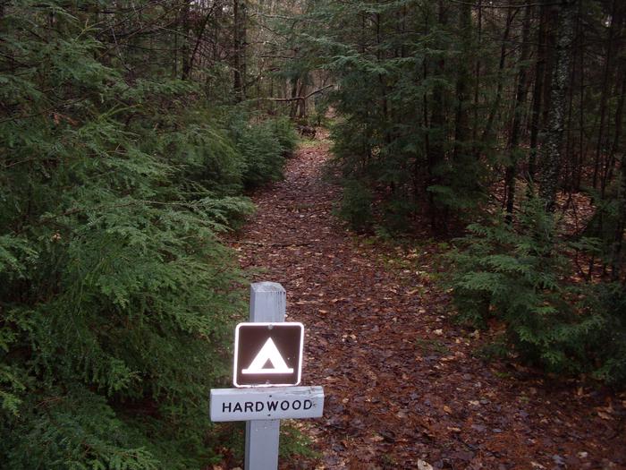 Hardwood Campsite - PathwayTrail leading to the Hardwood Campsite