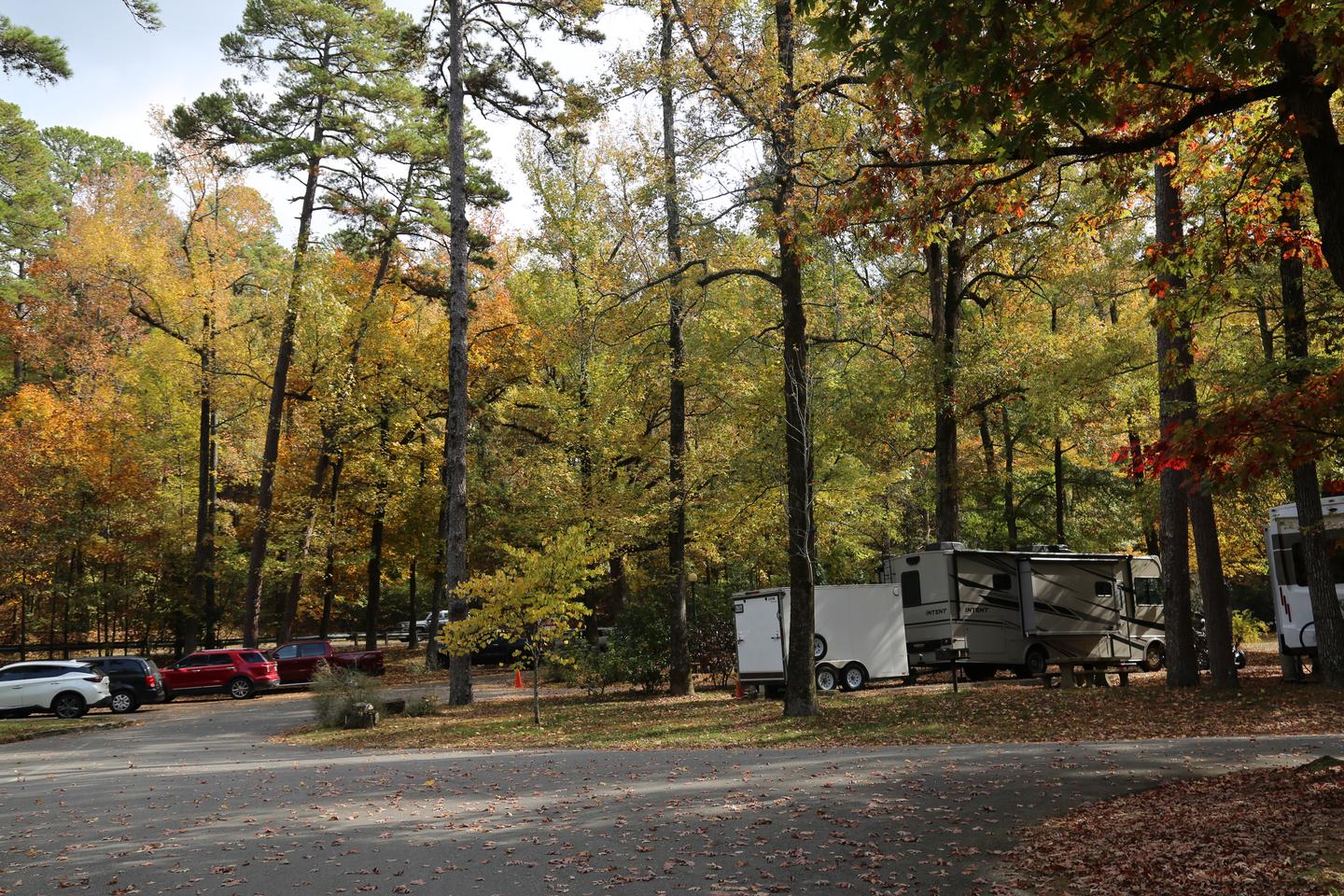 Gulpha Gorge Campsite with fall foliage and campersGulpha Gorge Campground in the fall