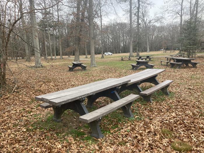 picnic tables with leafless winter trees in distanceArea C-3 in winter
