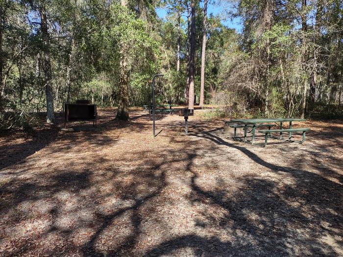View of site 2Picnic table, fire ring, light pole, bear box (food storage), shade, grill