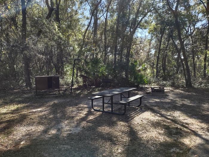 Closer view of site 4Picnic table, fire ring, light pole, bear box (food storage), shade, grill