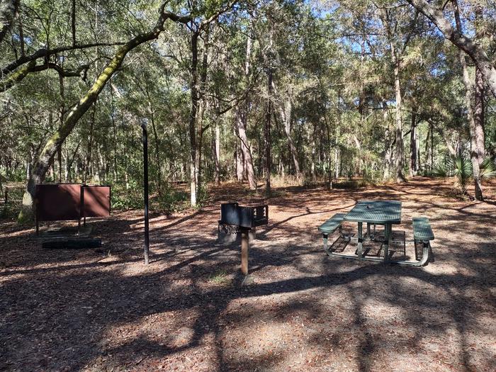View of site 9Picnic table, fire ring, light pole, bear box (food storage), shade, grill