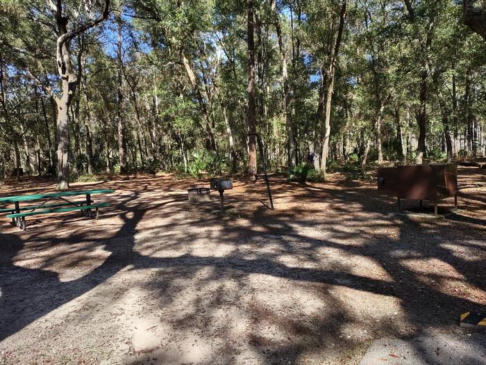 View of site 10Picnic table, fire ring, light pole, bear box (food storage), shade, grill