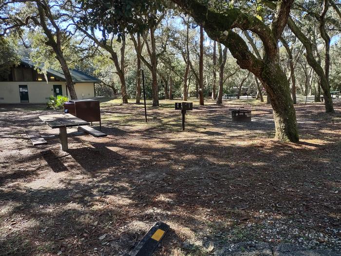 View of site 24Picnic table, fire ring, light pole, bear box (food storage), shade, grill