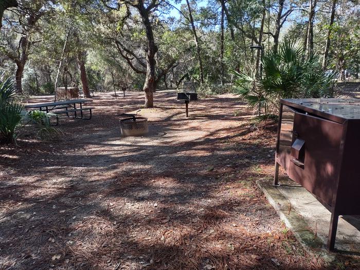 Closer view of site 37Picnic table, fire ring, light pole, bear box (food storage), shade, grill
