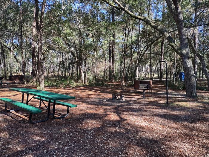 View of site 40Picnic table, fire ring, light pole, bear box (food storage), shade, grill