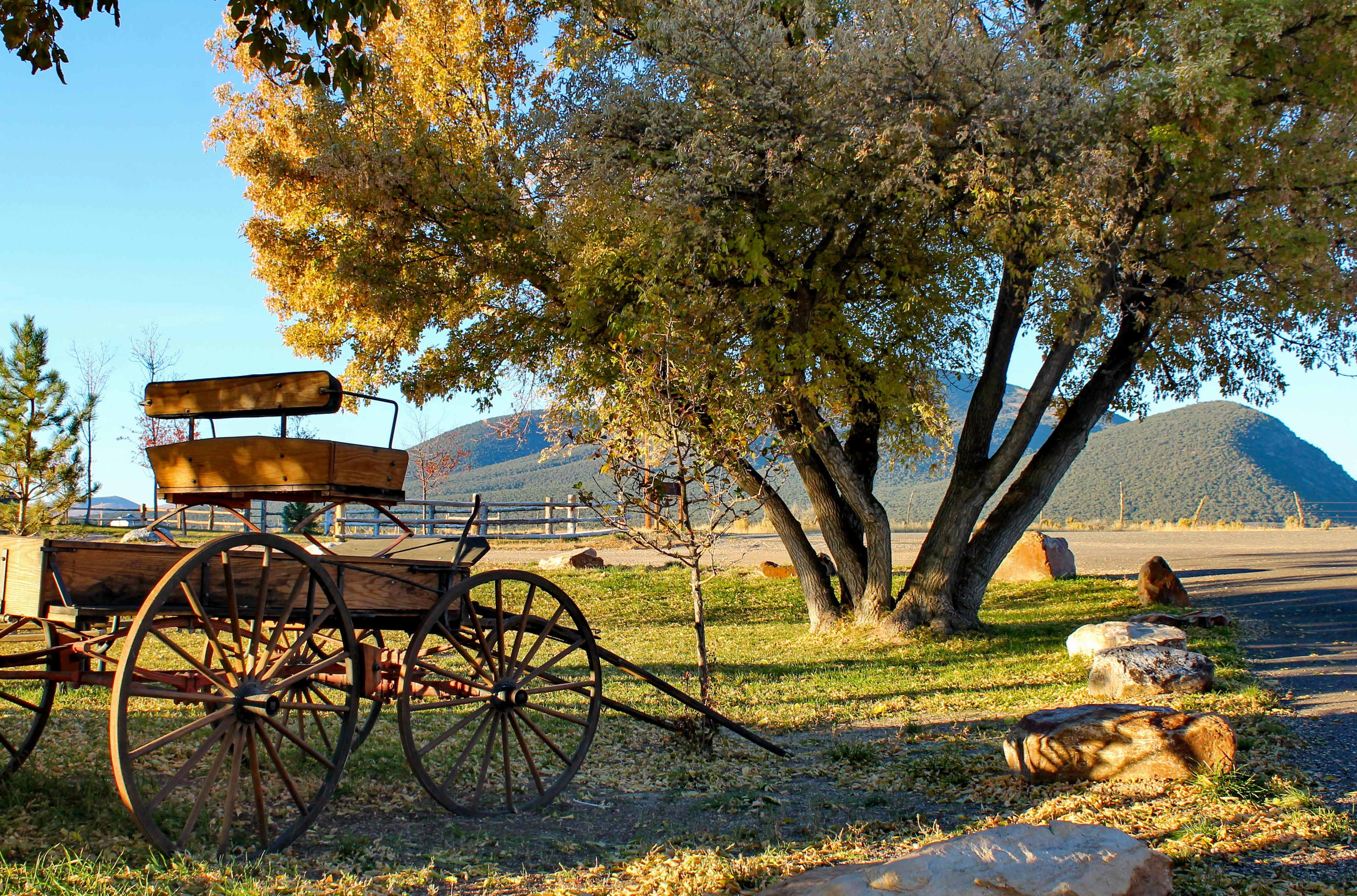 Wagon