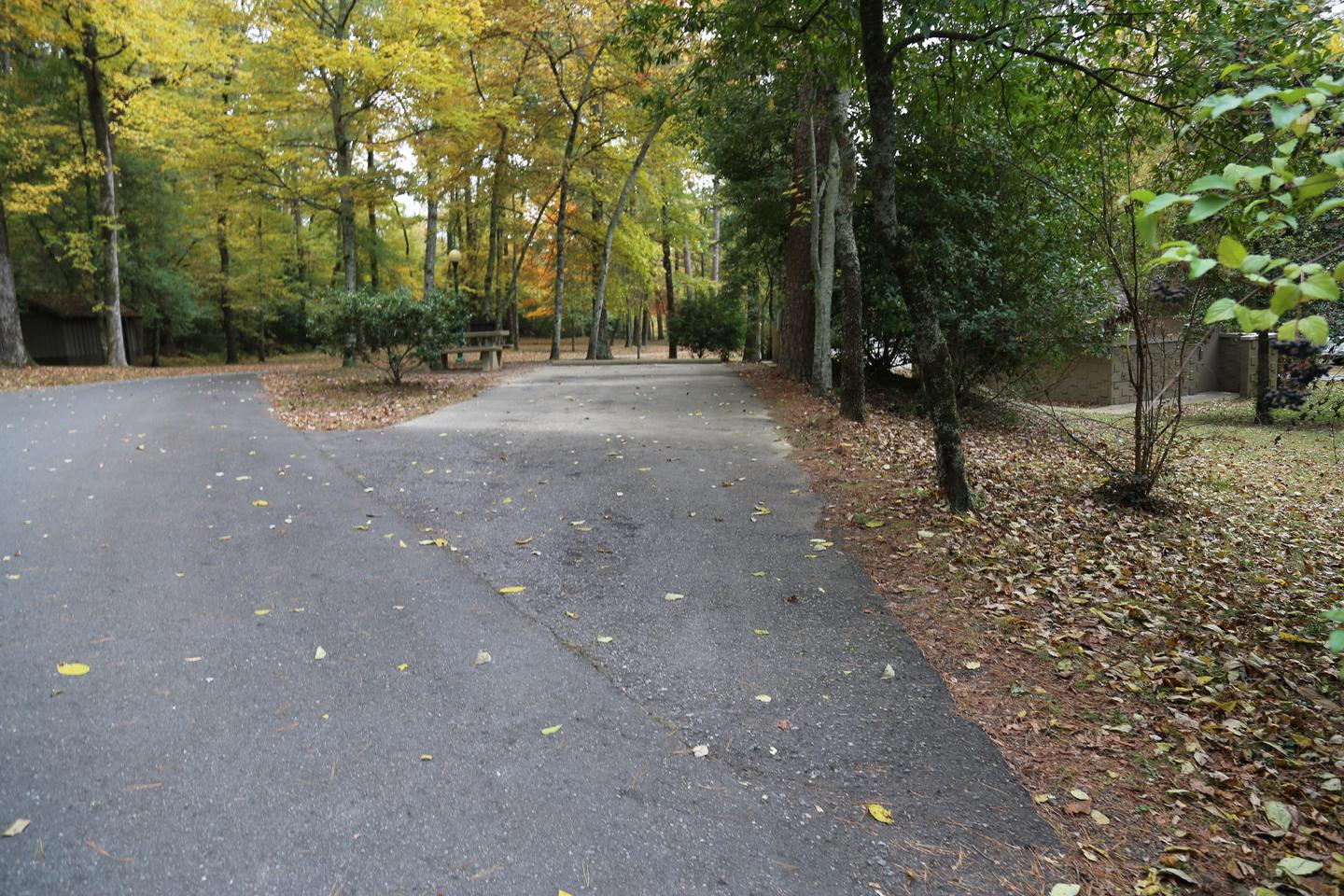 Paved road leading to paved RV campsite surrounded by treesCampsite 4