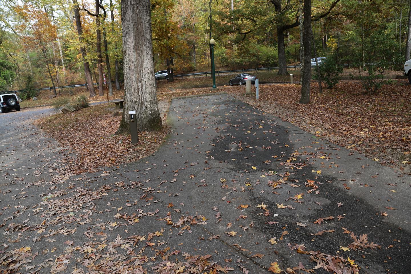 Paved RV site surrounded by fallen leaves and treesCampsite 7
